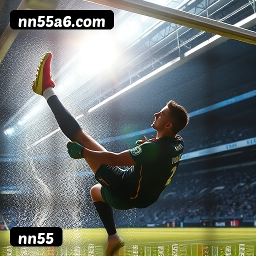 Níveis do programa VIP da nn55